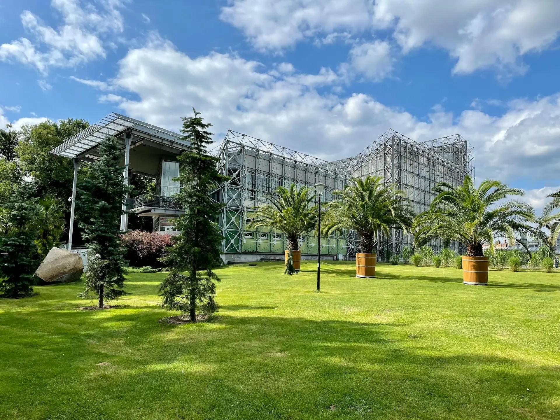 Zdjęcie palmiarni w Gliwicach